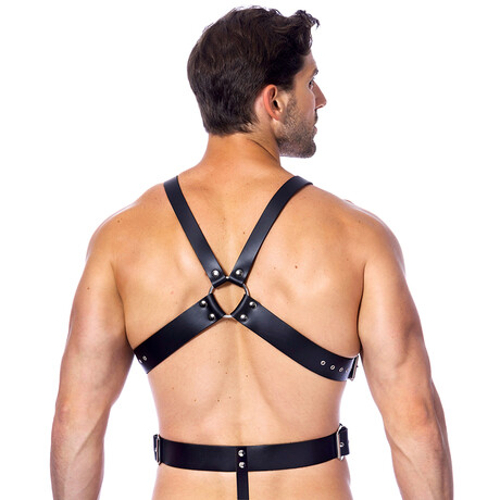 Bodyharnes mit Cockring 40 und 50 mm.