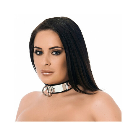 Leder Halsband 3,5 cm breit mit Metallstreifen und  Vorhngeschloss