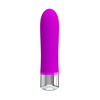Sampson Kugelvibrator