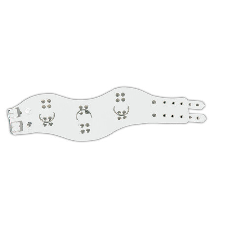 Halsband Halscorsage mit D-Ringen