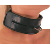 Halsband aus Leder