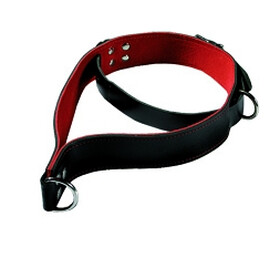 Leder Halsband mit Schlaufe und D-Ringen